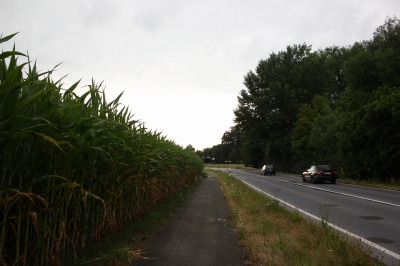 071IMG_2198