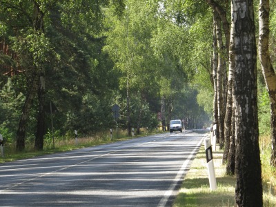 074042IMG_2746