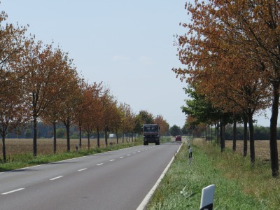 075041IMG_2747