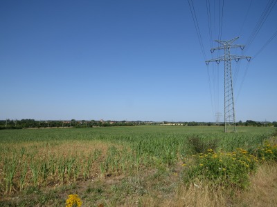 086030IMG_2764