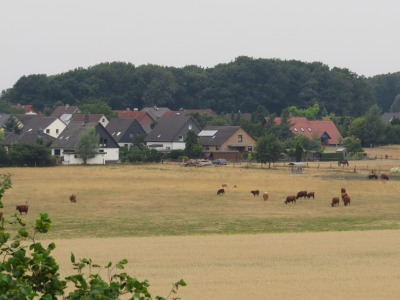 088IMG_2851