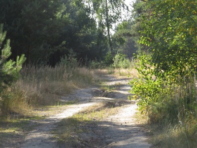 091025IMG_2772