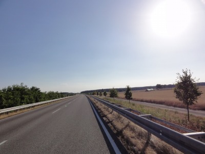 099114DSC02859