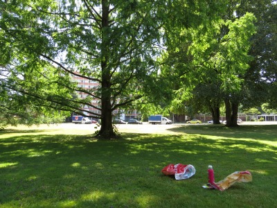 105IMG_2670