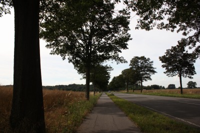 108IMG_2435