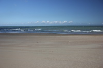 114IMG_2888