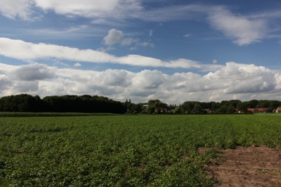 116IMG_2557