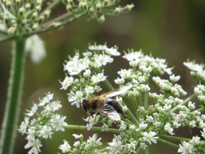 116IMG_3267
