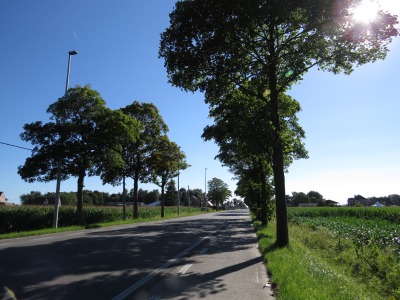121IMG_3634