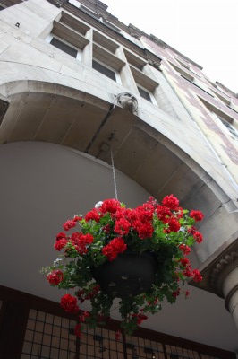123IMG_2358