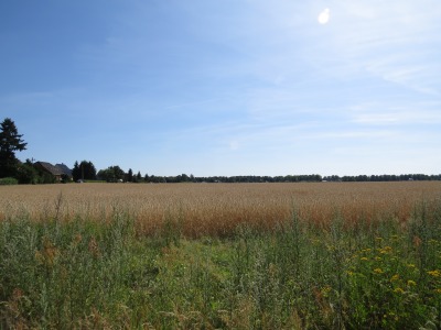 126IMG_2683