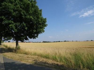 132IMG_2958