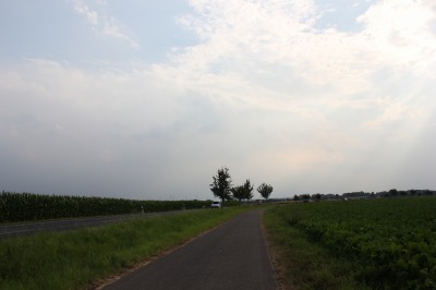 151IMG_2160