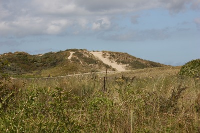151IMG_2905