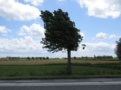 179IMG_3861