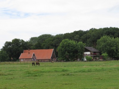 183IMG_3154