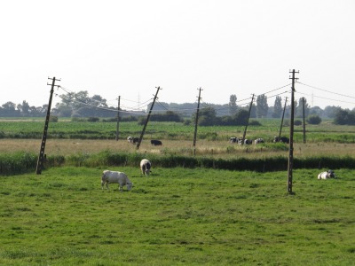 200IMG_3790