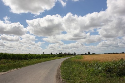 215IMG_2968