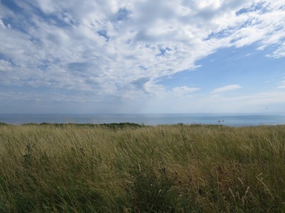 230IMG_4081