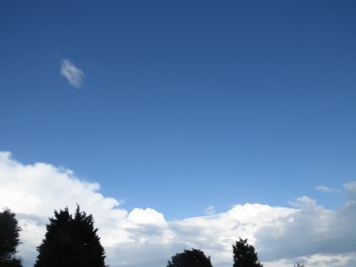 282IMG_4107