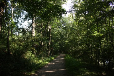 006IMG_4502