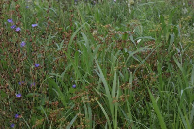 010IMG_3891