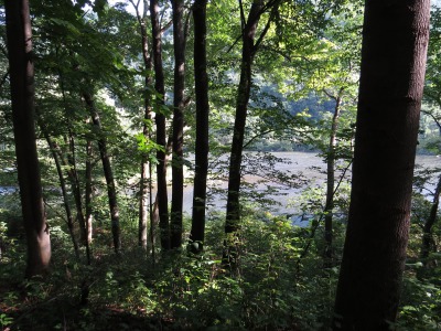 010IMG_4668