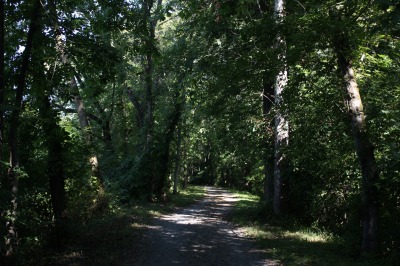 013IMG_4170