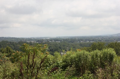 018IMG_3972