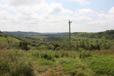 037IMG_4682