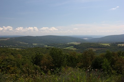 045IMG_4390