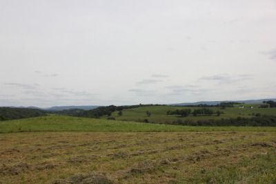 047IMG_4542