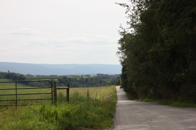 048IMG_4543