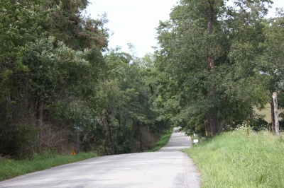 049IMG_4544