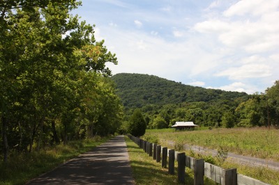 060IMG_4239