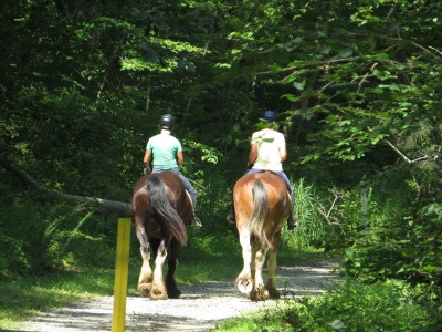 060IMG_4520