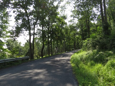 064IMG_4524