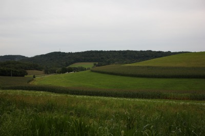 075IMG_4568