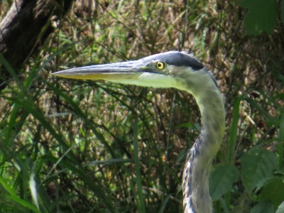 084IMG_4620