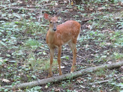 096IMG_4658
