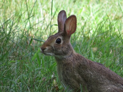 106IMG_4639