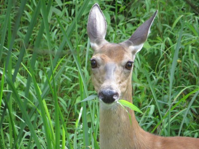 110IMG_4643