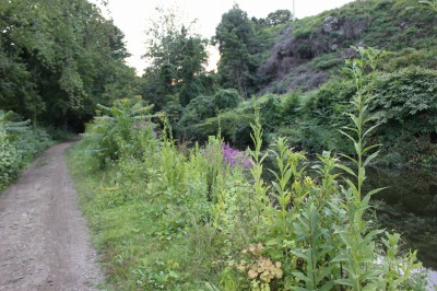 125IMG_3876