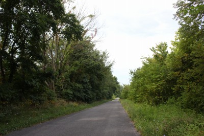 003IMG_5499