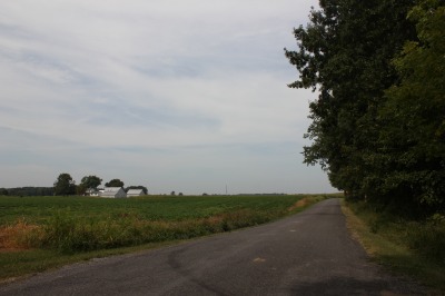 005IMG_5503
