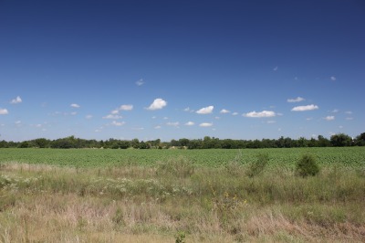 006IMG_6222