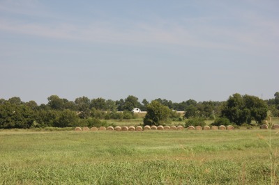 006IMG_6561