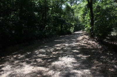 025IMG_5924
