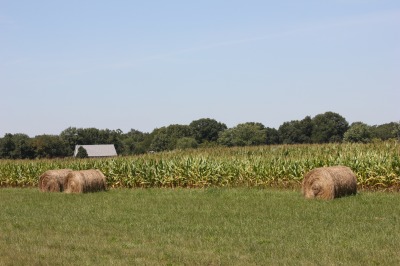 028IMG_5317