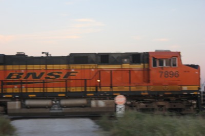 030IMG_6354